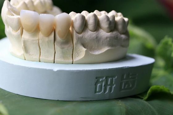 Porcelain Cubic Zirconia Teeth