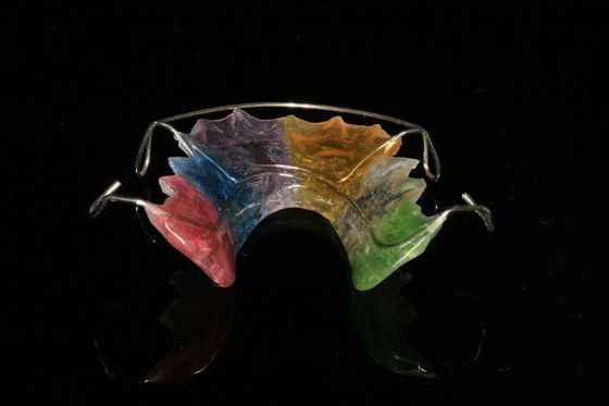 Custom Maintenance Dentistry Orthodontic Dental Appliance