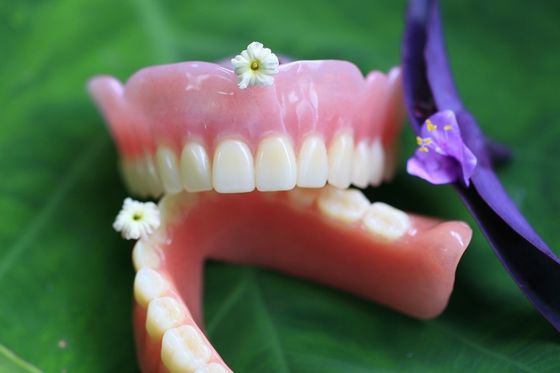 Stable Comfortable BPS Acrylic Partial Denture Denture