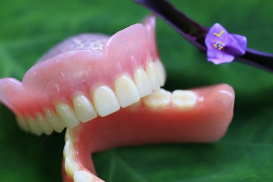 Hot Cured Full Arch Removable Acrylic Full Denture