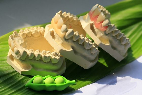Flexible Invisible Denture