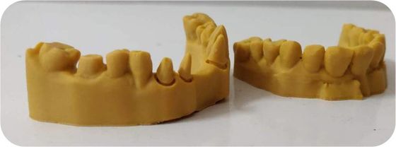 CAD CAM Photosensitive Resin Composite Dental 3D Print model