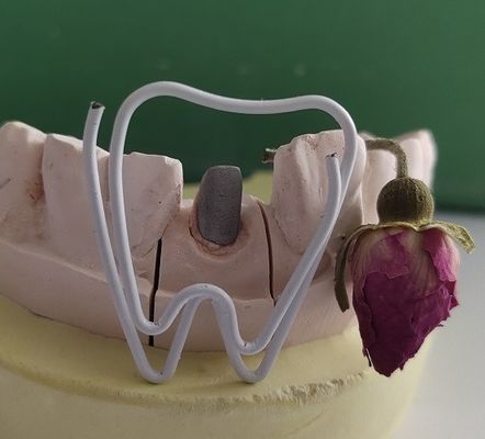 Metal Dental Post And Core After Endodontic Treatment