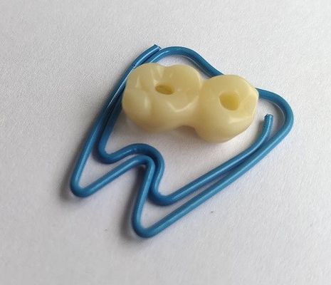 Temporary PMMA Temporary Crown