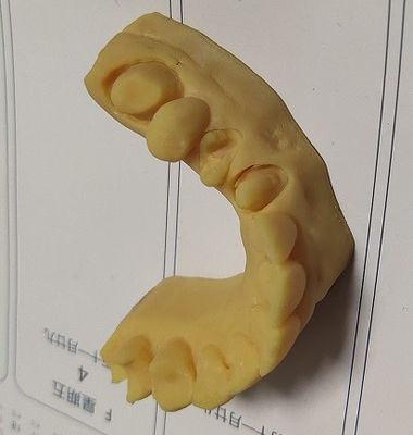 High Precision ISO13485 Trushine Dental 3D Print model