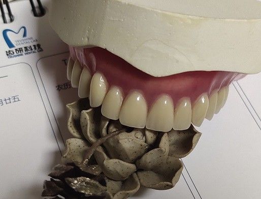 Complete Denture Permanent Esthetics Acrylic Partial Denture