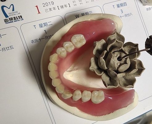 Stable Comfortable BPS Acrylic Partial Denture Denture