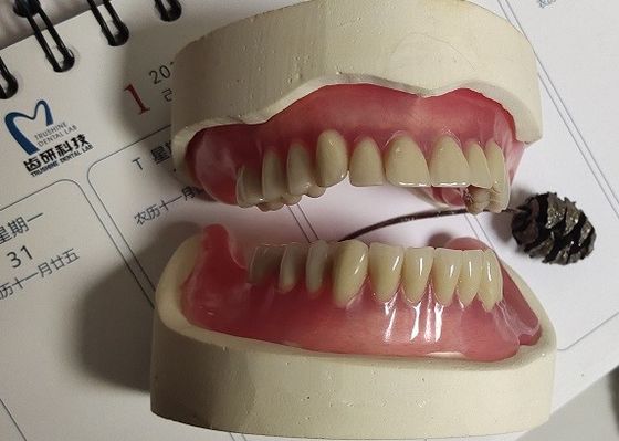 Immediate Denture ISO13485 Acrylic Partial Denture