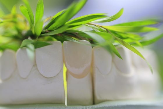 Natural Permanent Glass Ceramic Dental Crown For Anterior Teeth