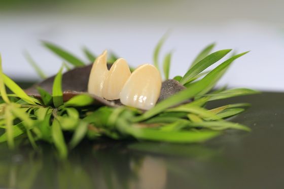 Prosthetic Dentistry Full Zirconium Oxide Crown 5 Stars Design Dental Lab