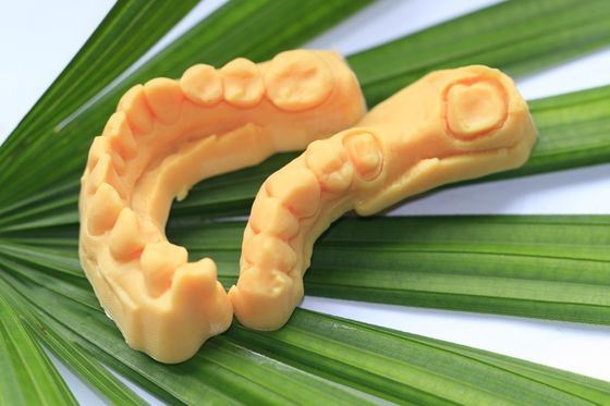 CAD CAM Photosensitive Resin Composite Dental 3D Print model