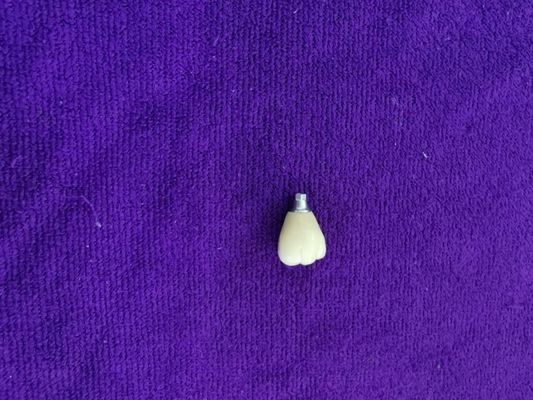 Single Tooth Trushine OSSETEM Dental Implants Fixture Level